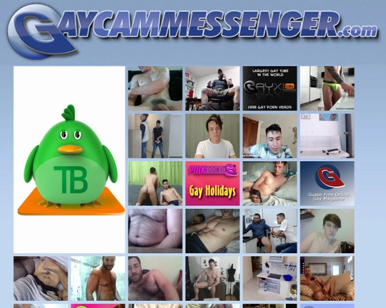 Gay Messenger Logo