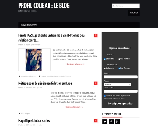 ProfilCougar Logo