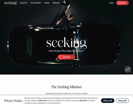 Seeking Arrangement Logo