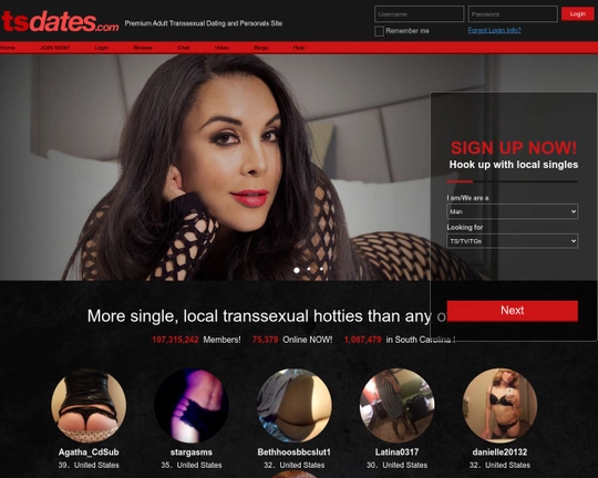 TsDates Logo